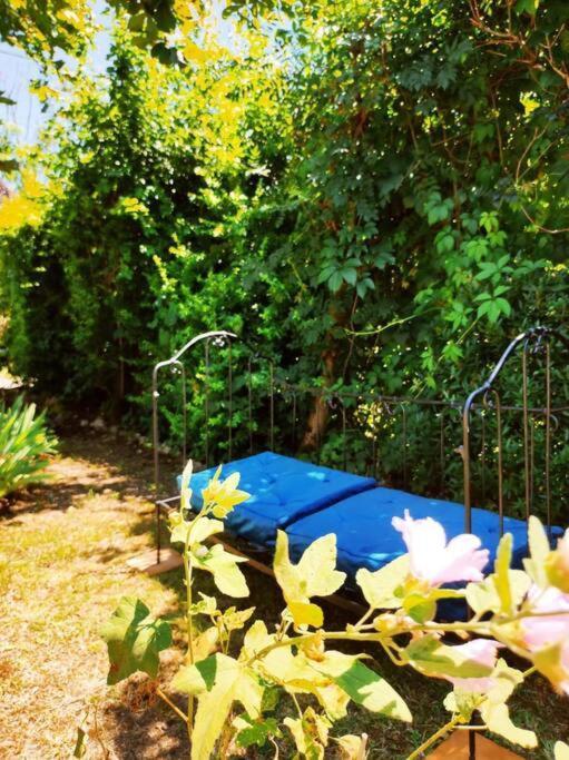 Gite La Petite Longere Septfonds Dış mekan fotoğraf